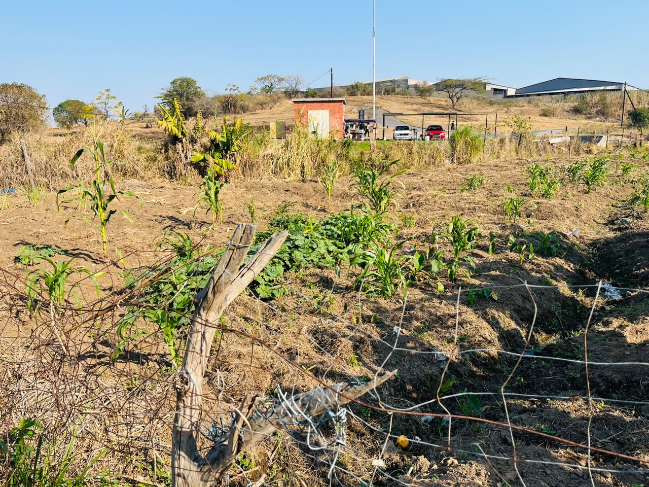One Home One Garden programme photo 11