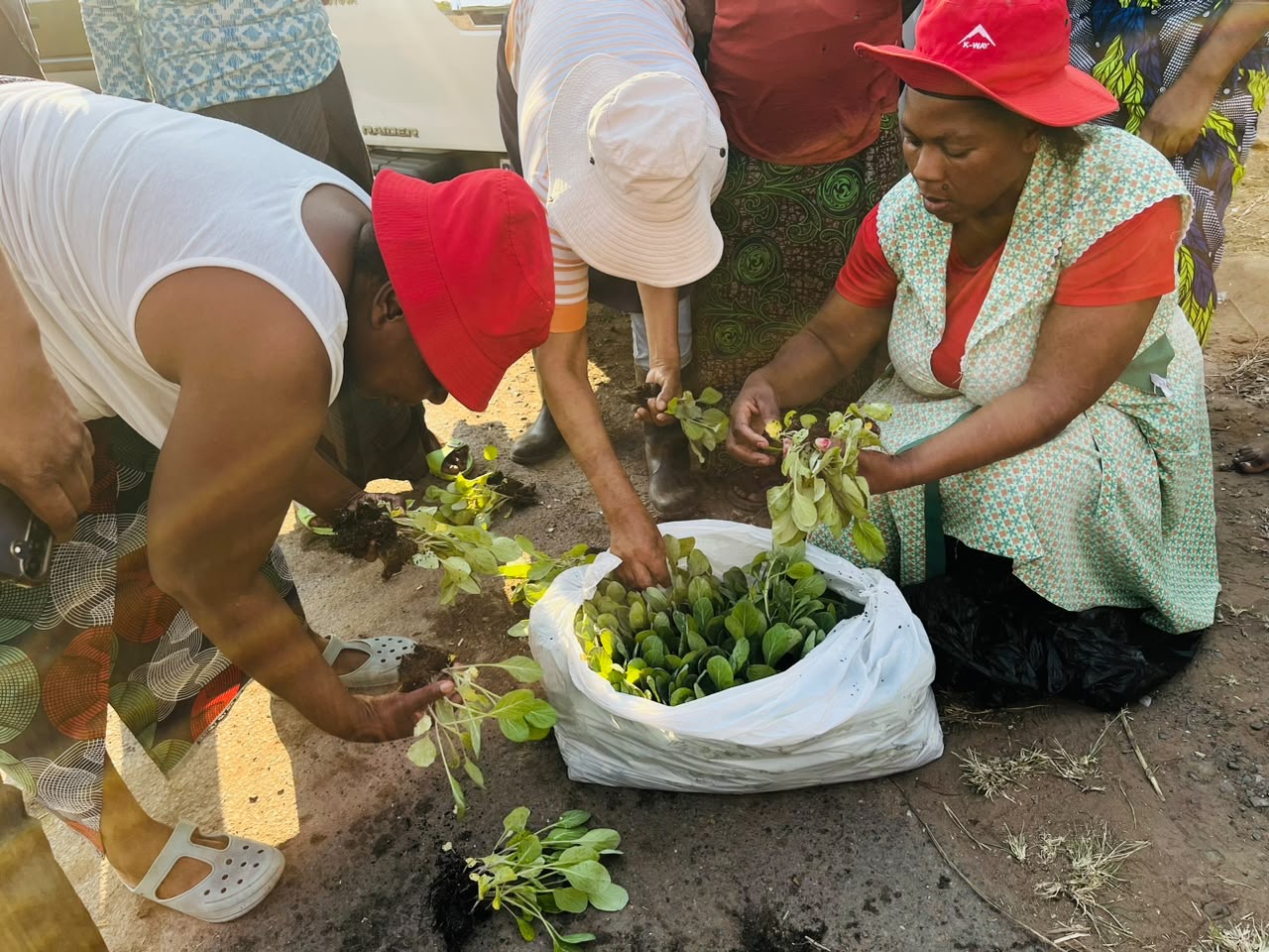 One Home One Garden programme photo 21