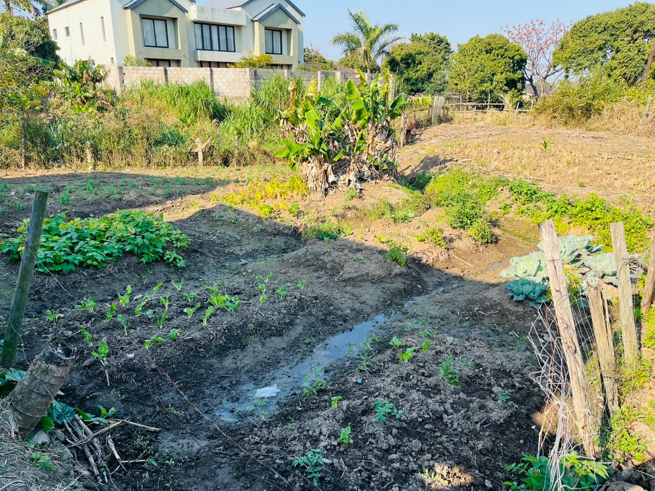 One Home One Garden programme photo 31