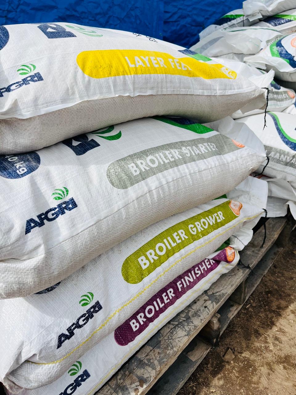 Zanose Farming support visit photo 15